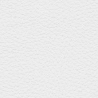 /album/fotogalerie-florida/florida-501-jpg1/