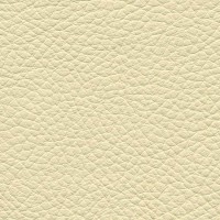 /album/fotogalerie-florida/florida-502-jpg/