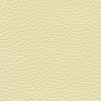 /album/fotogalerie-florida/florida-503-jpg/