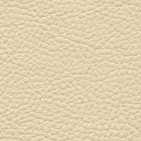 /album/fotogalerie-florida/florida-504-jpg/