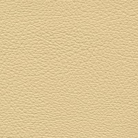 /album/fotogalerie-florida/florida-505-jpg/