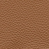 /album/fotogalerie-florida/florida-507-jpg/