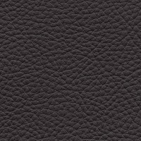 /album/fotogalerie-florida/florida-508-jpg/