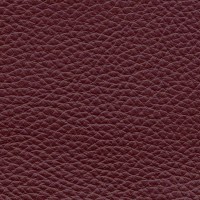 /album/fotogalerie-florida/florida-509-jpg/