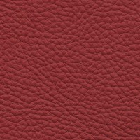 /album/fotogalerie-florida/florida-510-jpg/