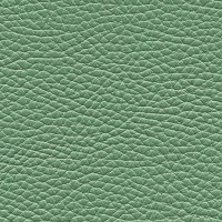 /album/fotogalerie-florida/florida-511-jpg/