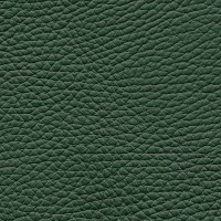 /album/fotogalerie-florida/florida-512-jpg/