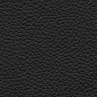 /album/fotogalerie-florida/florida-513-jpg/