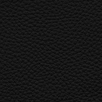 /album/fotogalerie-florida/florida-514-jpg/