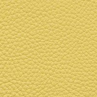 /album/fotogalerie-florida/florida-515-jpg/