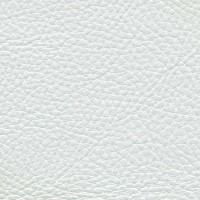 /album/fotogalerie-florida/florida-516-jpg/