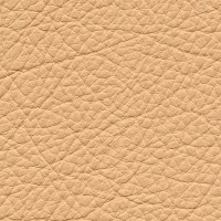 /album/fotogalerie-florida/florida-517-jpg/