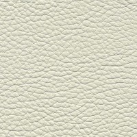 /album/fotogalerie-florida/florida-518-jpg/