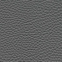 /album/fotogalerie-florida/florida-519-jpg/