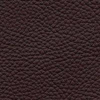 /album/fotogalerie-florida/florida-520-jpg/