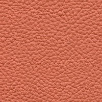 /album/fotogalerie-florida/florida-521-jpg/