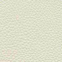 /album/fotogalerie-florida/florida-522-jpg/