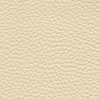 /album/fotogalerie-florida/florida-523-jpg/