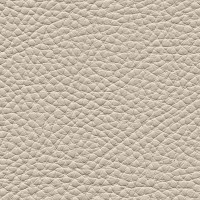 /album/fotogalerie-florida/florida-524-jpg/