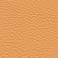 /album/fotogalerie-florida/florida-526-jpg/