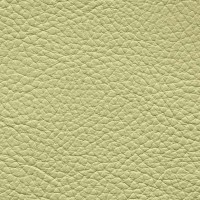 /album/fotogalerie-florida/florida-527-jpg/