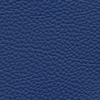 /album/fotogalerie-florida/florida-528-jpg/