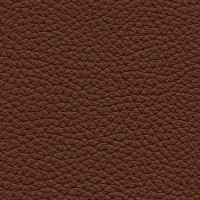 /album/fotogalerie-florida/florida-529-jpg/