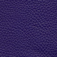 /album/fotogalerie-florida/florida-530-jpg/