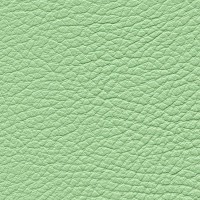 /album/fotogalerie-florida/florida-532-jpg/