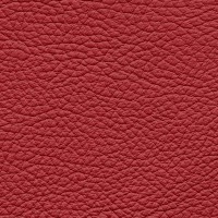 /album/fotogalerie-florida/florida-163-jpg/