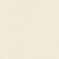 /album/daytona/daytona-401-jpg/