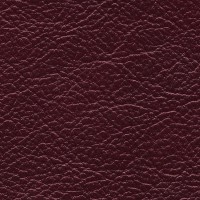 /album/nevada/nevada-630-jpg/