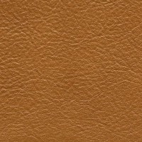 /album/nevada/nevada-680-jpg/