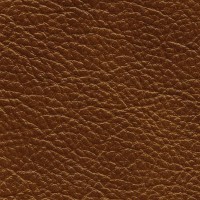 /album/nevada/nevada-682-jpg/