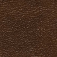 /album/nevada/nevada-684-jpg/