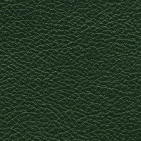 /album/nevada/nevada-689-jpg/